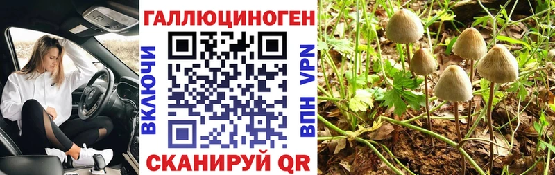 Псилоцибиновые грибы мицелий  дарнет шоп  darknet формула  Тамбов 