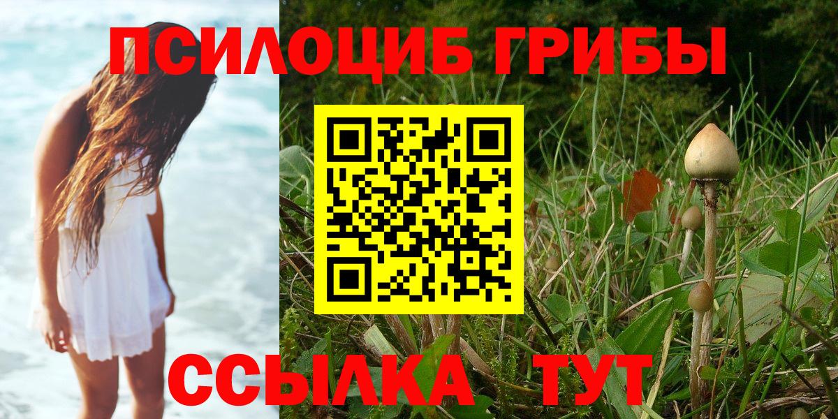 Галлюциногенные грибы ЛСД  Галлюциногенные грибы Psilocybe  Тамбов  Вход с VPN 