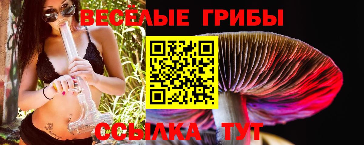 Галлюциногенные грибы MAGIC MUSHROOMS Тамбов